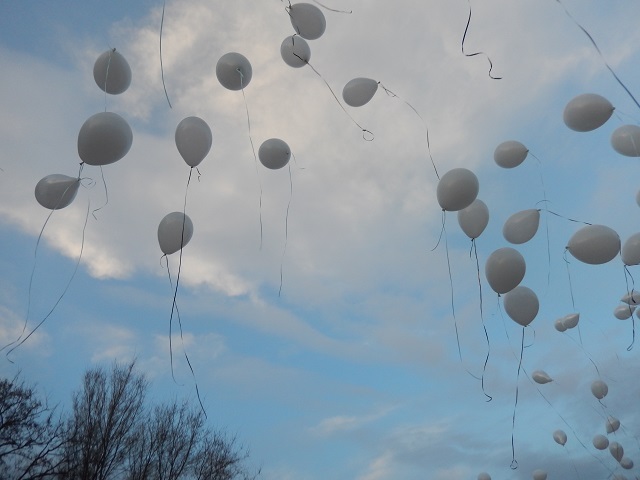 DSCN8820