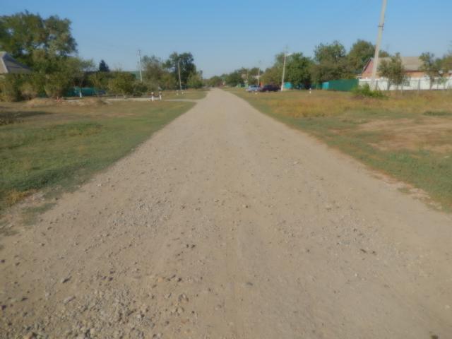 DSCN8410