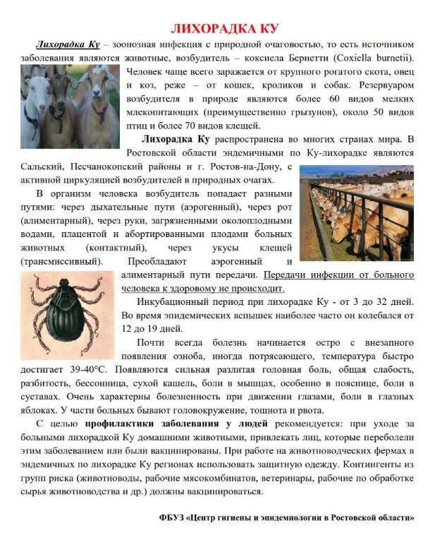 Уважаемые жители  Летницкого сельского поселения!
